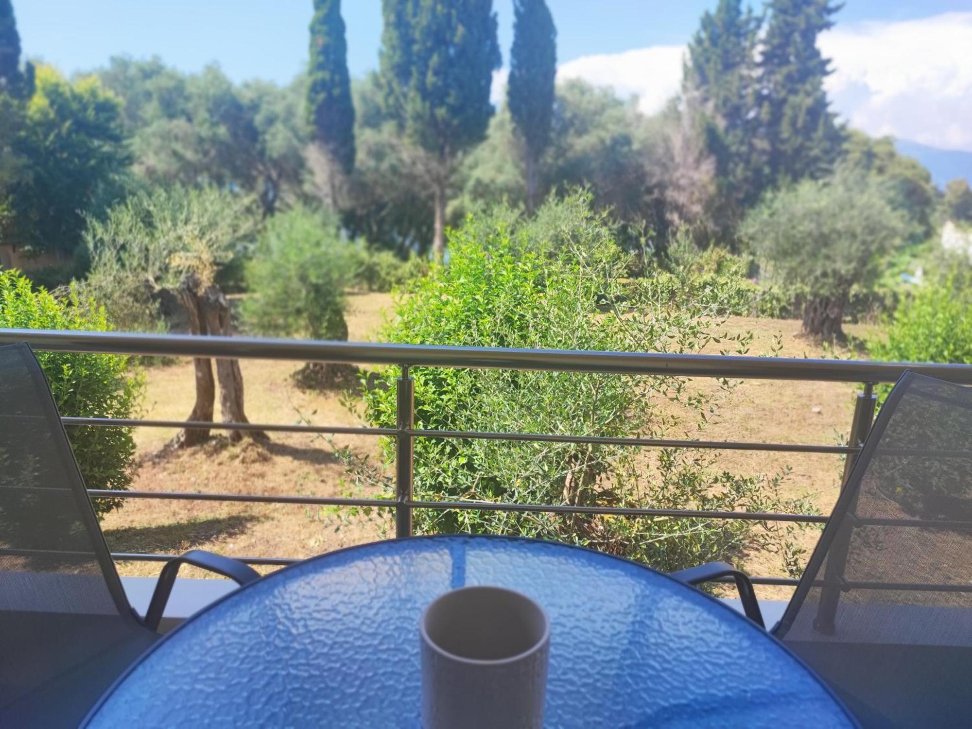 Coritos Holiday Apartments Контокали Екстериор снимка